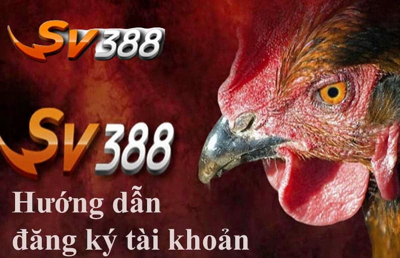 Cách Đăng Ký Tài Khoản Trên vs388